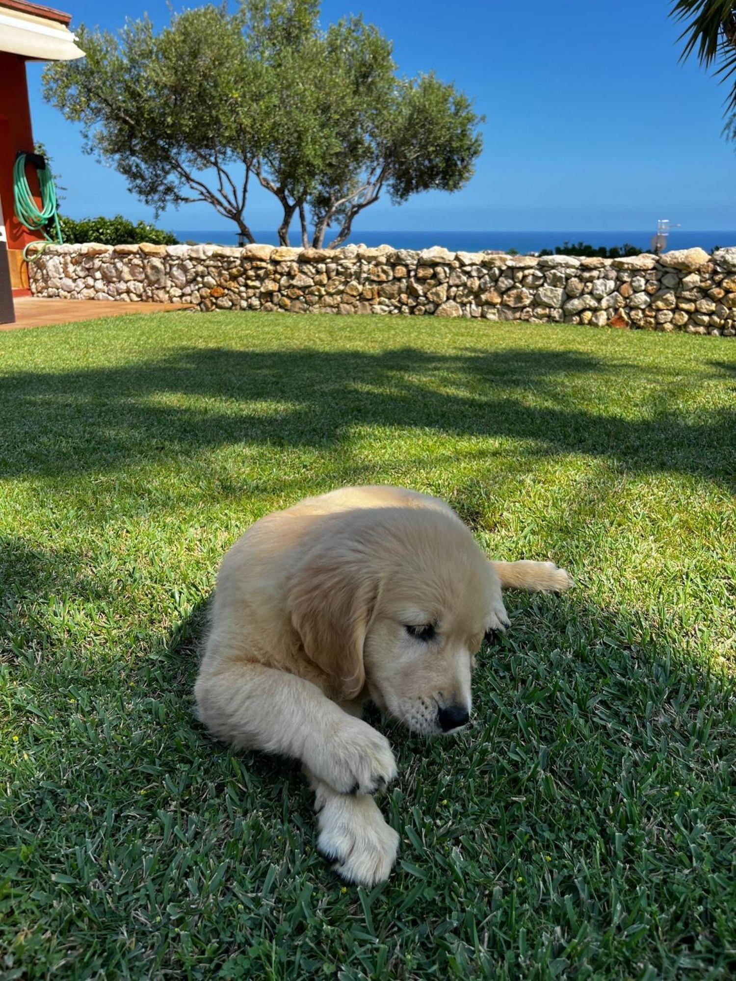 Villa Tu Pequeno Paraiso Calafell Exterior foto